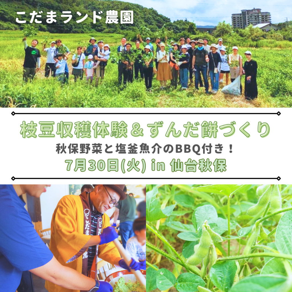 こだまランドイベント